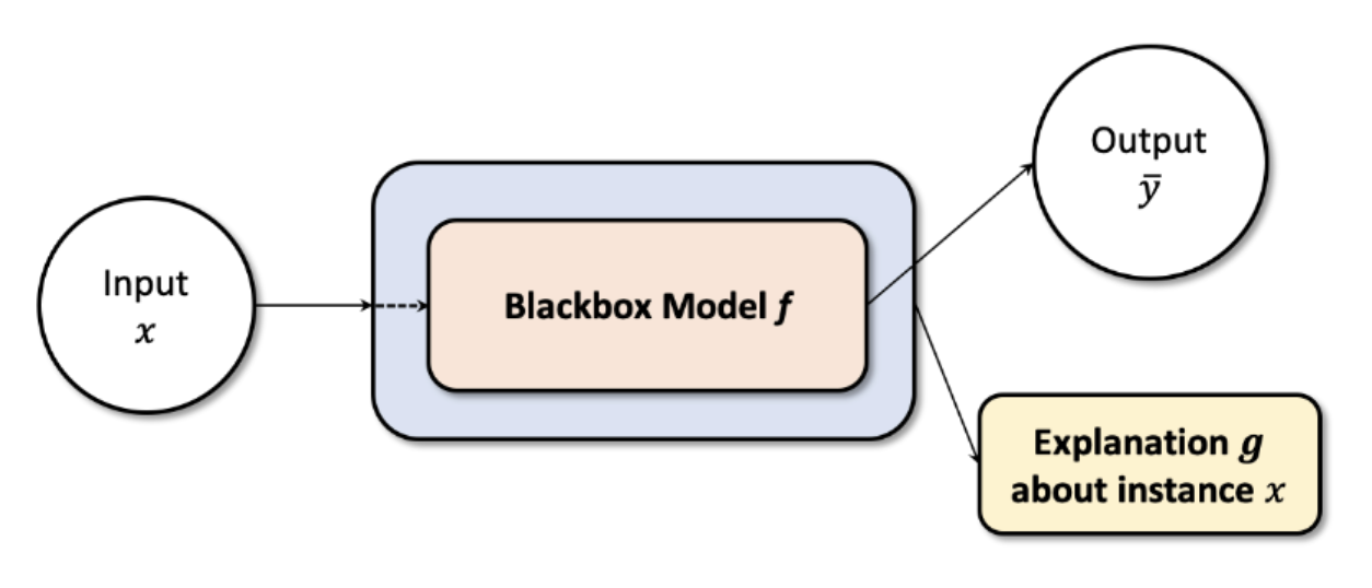 xai-local-explanation