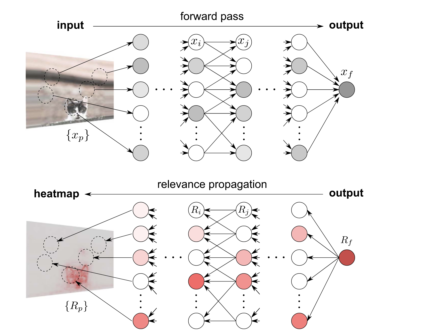 xai-lrp-example