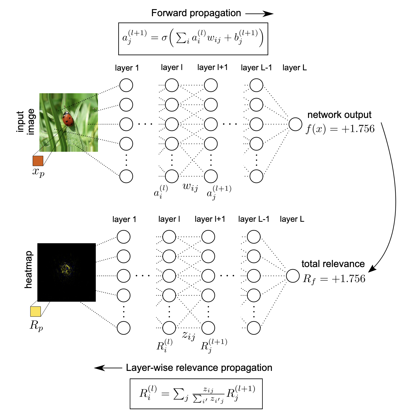 xai-lrp-general-process